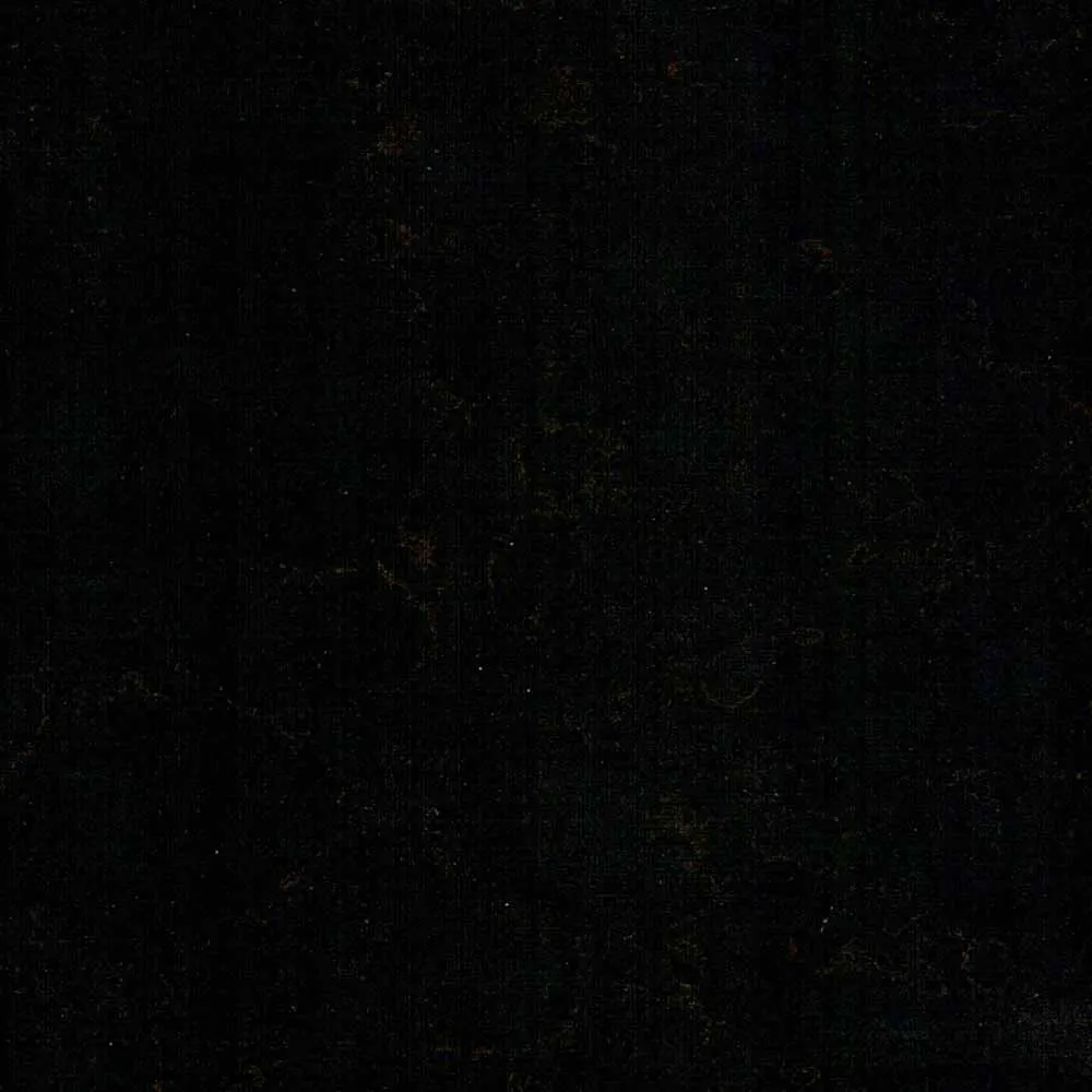 BLACK ROYAL quartz stone